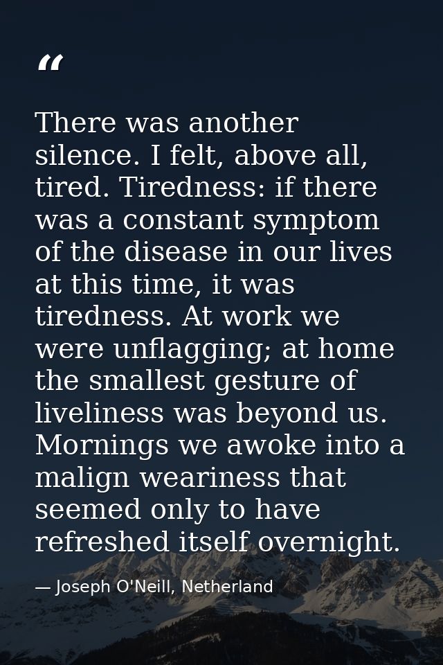 There was another silence. I felt, above all, tired. Tiredness: if there was a constant symptom of the disease in our li — Joseph O'Neill, Netherland