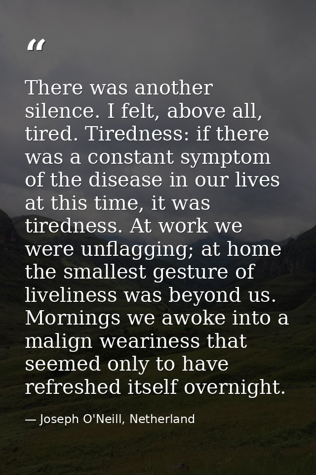 There was another silence. I felt, above all, tired. Tiredness: if there was a constant symptom of the disease in our li — Joseph O'Neill, Netherland