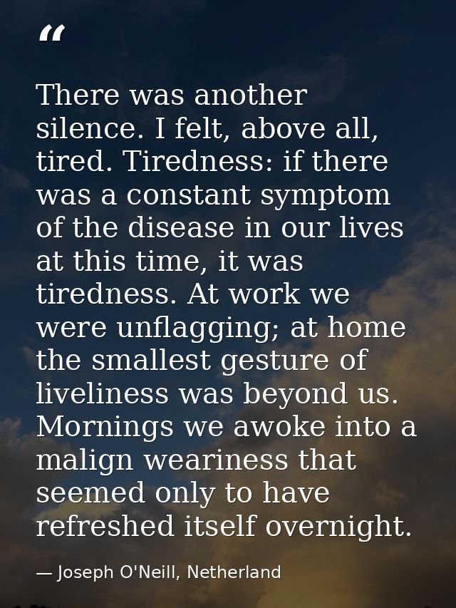 There was another silence. I felt, above all, tired. Tiredness: if there was a constant symptom of the disease in our li — Joseph O'Neill, Netherland
