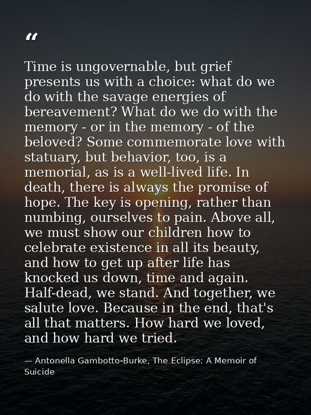 Time is ungovernable, but grief presents us with a choice: what do we do with the savage energies of bereavement? What d — Antonella Gambotto-Burke, The Eclipse: A Memoir of Suicide