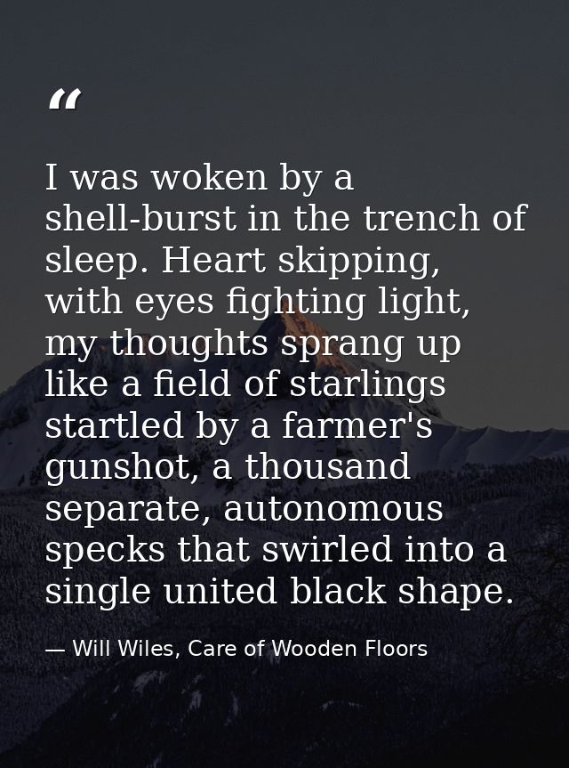 I was woken by a shell-burst in the trench of sleep. Heart skipping, with eyes fighting light, my thoughts sprang up lik — Will Wiles, Care of Wooden Floors
