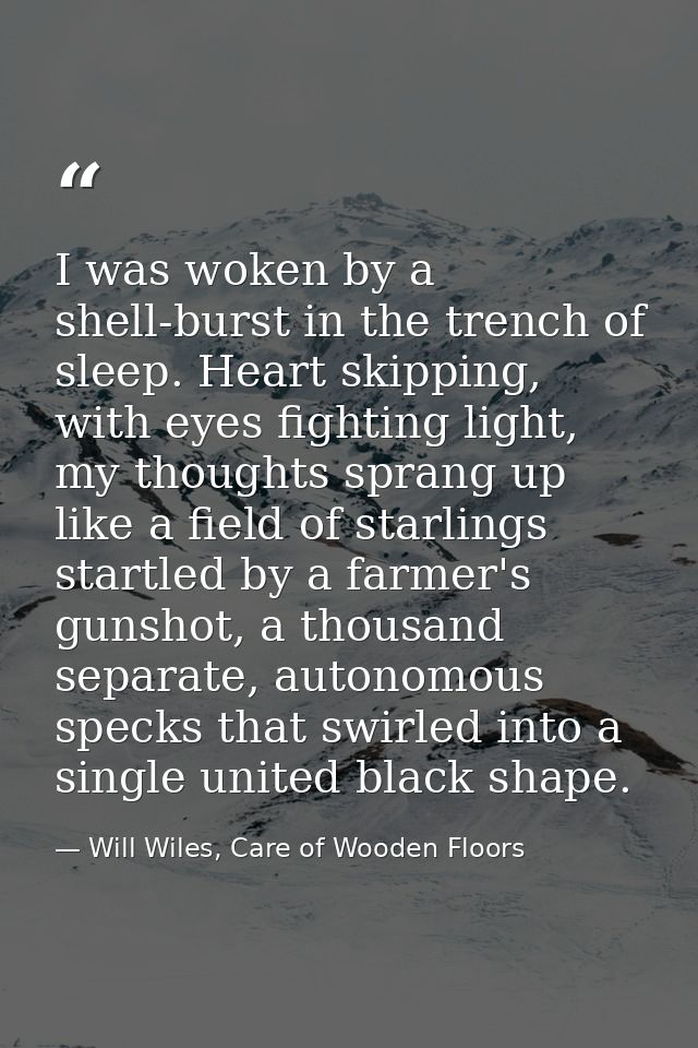 I was woken by a shell-burst in the trench of sleep. Heart skipping, with eyes fighting light, my thoughts sprang up lik — Will Wiles, Care of Wooden Floors