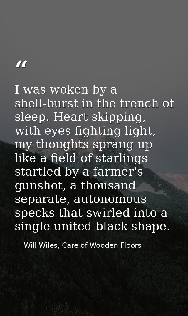 I was woken by a shell-burst in the trench of sleep. Heart skipping, with eyes fighting light, my thoughts sprang up lik — Will Wiles, Care of Wooden Floors