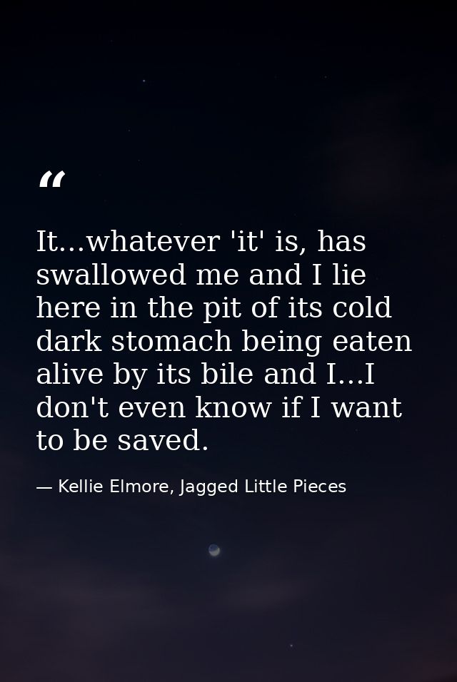 It...whatever 'it' is, has swallowed me and I lie here in the pit of its cold dark stomach being eaten alive by its bile — Kellie Elmore, Jagged Little Pieces