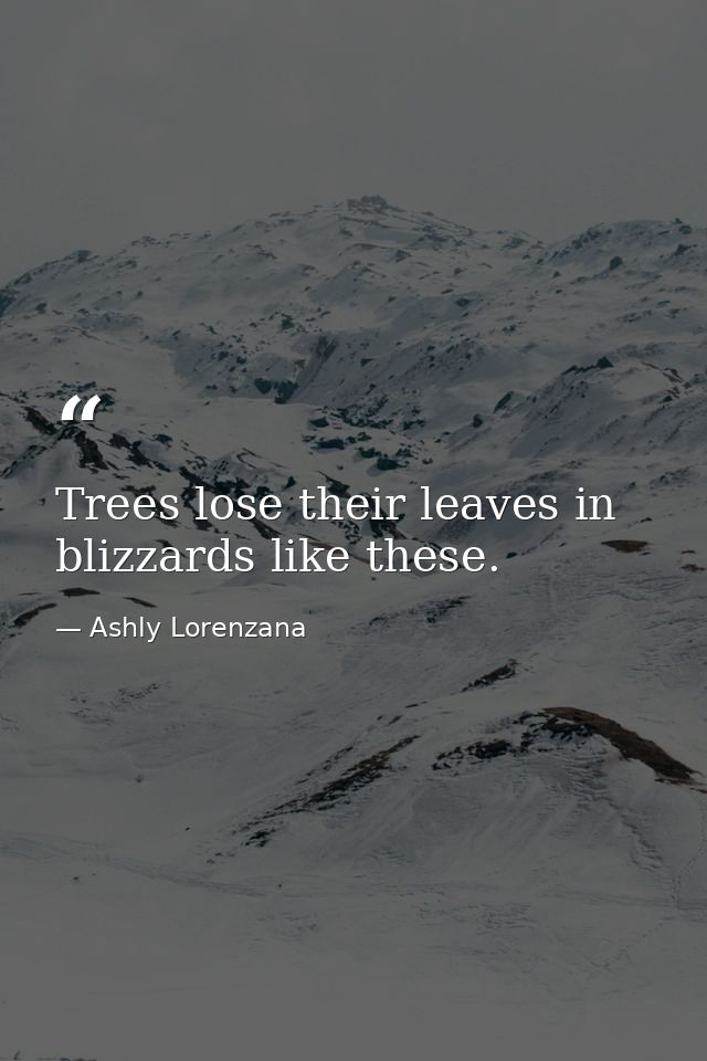 Trees lose their leaves in blizzards like these. — Ashly Lorenzana