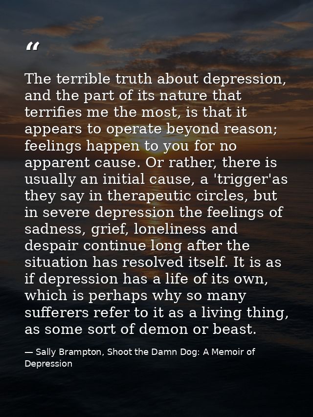 The terrible truth about depression, and the part of its nature that terrifies me the most, is that it appears to operat — Sally Brampton, Shoot the Damn Dog: A Memoir of Depression