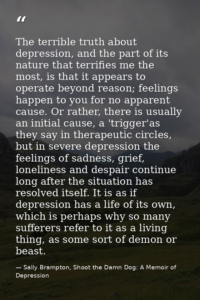 The terrible truth about depression, and the part of its nature that terrifies me the most, is that it appears to operat — Sally Brampton, Shoot the Damn Dog: A Memoir of Depression