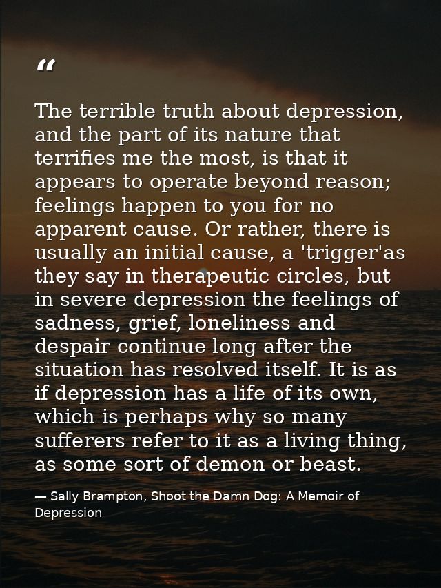 The terrible truth about depression, and the part of its nature that terrifies me the most, is that it appears to operat — Sally Brampton, Shoot the Damn Dog: A Memoir of Depression