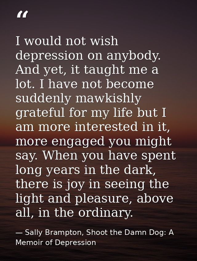 I would not wish depression on anybody. And yet, it taught me a lot. I have not become suddenly mawkishly grateful for m — Sally Brampton, Shoot the Damn Dog: A Memoir of Depression