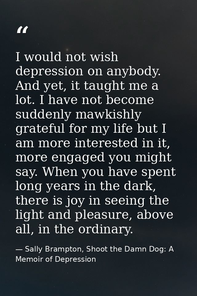 I would not wish depression on anybody. And yet, it taught me a lot. I have not become suddenly mawkishly grateful for m — Sally Brampton, Shoot the Damn Dog: A Memoir of Depression