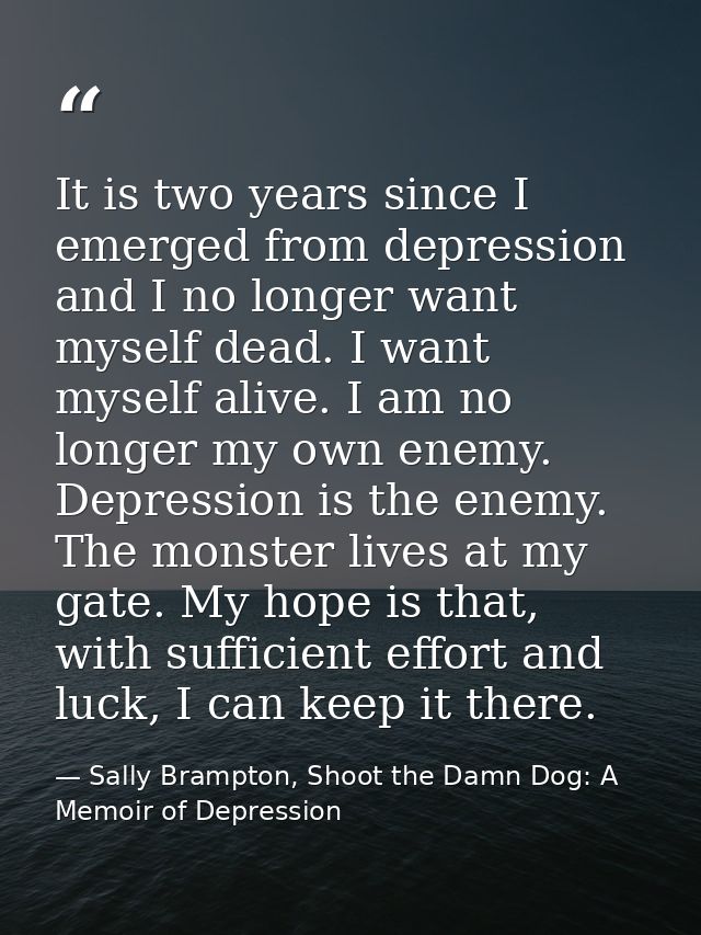 It is two years since I emerged from depression and I no longer want myself dead. I want myself alive. I am no longer my — Sally Brampton, Shoot the Damn Dog: A Memoir of Depression