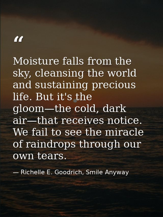 Moisture falls from the sky, cleansing the world and sustaining precious life. But it's the gloom—the cold, dark air—tha — Richelle E. Goodrich, Smile Anyway