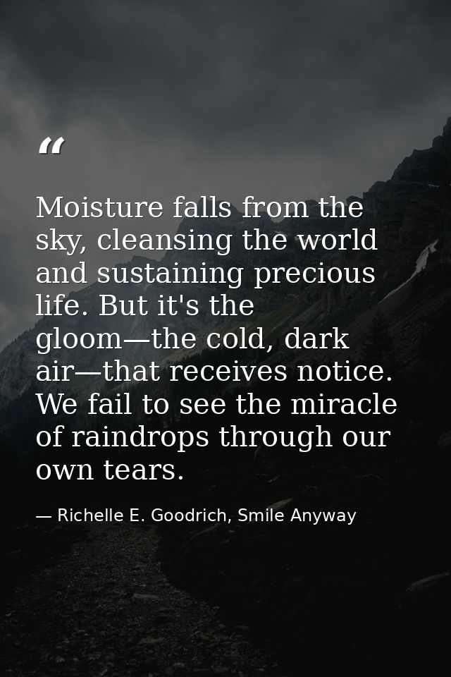 Moisture falls from the sky, cleansing the world and sustaining precious life. But it's the gloom—the cold, dark air—tha — Richelle E. Goodrich, Smile Anyway