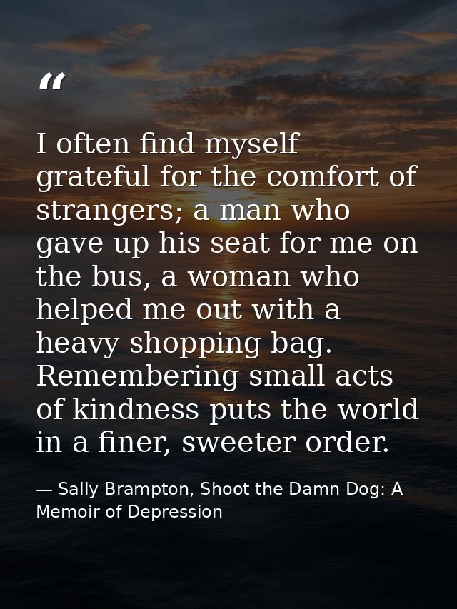 I often find myself grateful for the comfort of strangers; a man who gave up his seat for me on the bus, a woman who hel — Sally Brampton, Shoot the Damn Dog: A Memoir of Depression