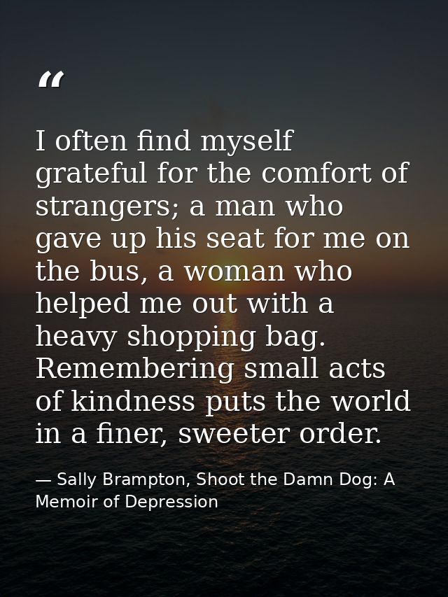 I often find myself grateful for the comfort of strangers; a man who gave up his seat for me on the bus, a woman who hel — Sally Brampton, Shoot the Damn Dog: A Memoir of Depression