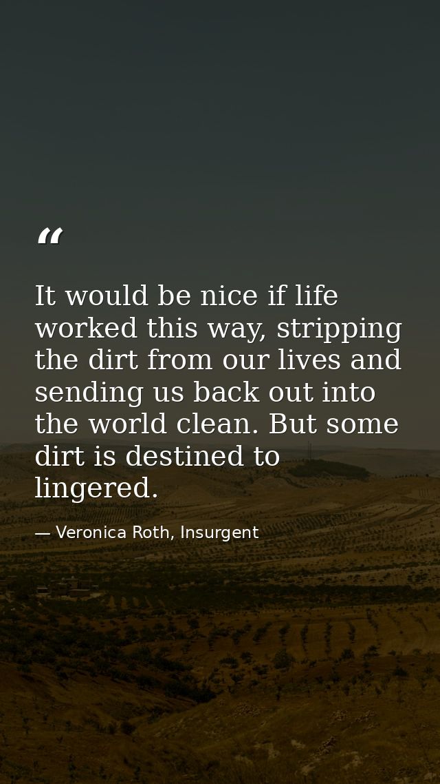 It would be nice if life worked this way, stripping the dirt from our lives and sending us back out into the world clean — Veronica Roth, Insurgent