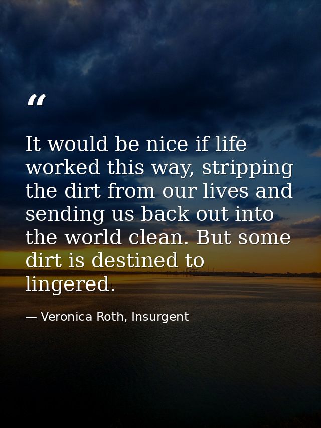 It would be nice if life worked this way, stripping the dirt from our lives and sending us back out into the world clean — Veronica Roth, Insurgent