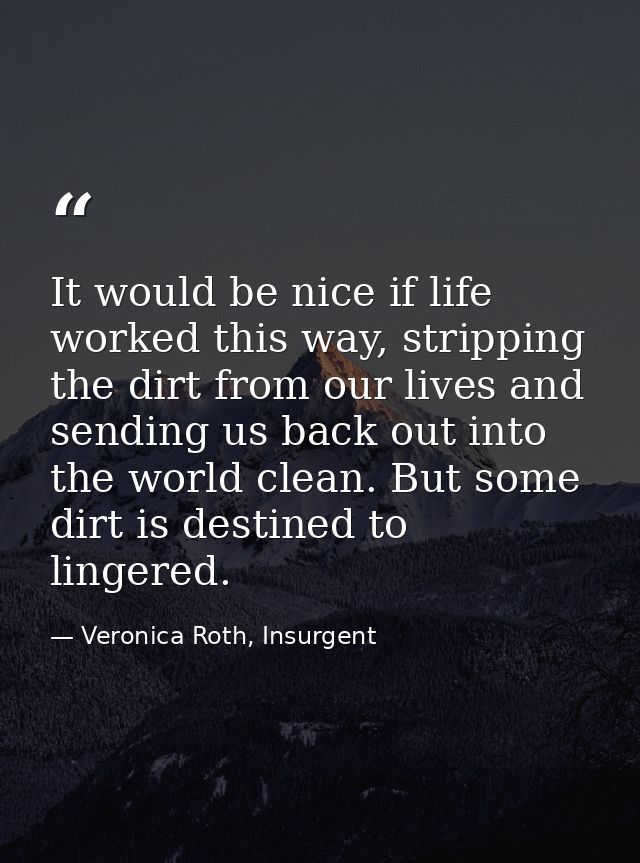 It would be nice if life worked this way, stripping the dirt from our lives and sending us back out into the world clean — Veronica Roth, Insurgent