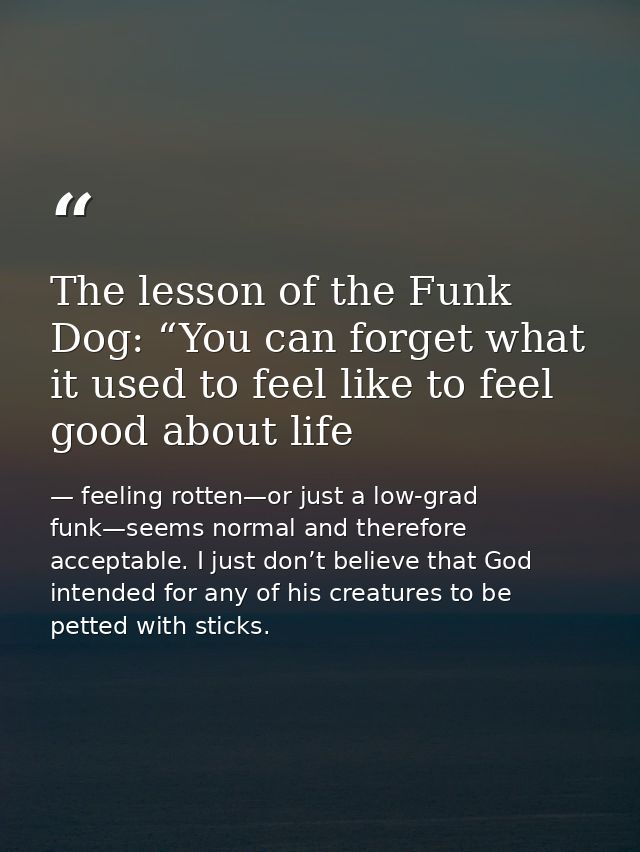 The lesson of the Funk Dog: “You can forget what it used to feel like to feel good about life — feeling rotten—or just a low-grad funk—seems normal and therefore acceptable. I just don’t believe that God intended for any of his creatures to be petted with sticks.