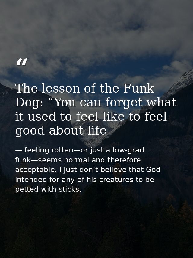 The lesson of the Funk Dog: “You can forget what it used to feel like to feel good about life — feeling rotten—or just a low-grad funk—seems normal and therefore acceptable. I just don’t believe that God intended for any of his creatures to be petted with sticks.