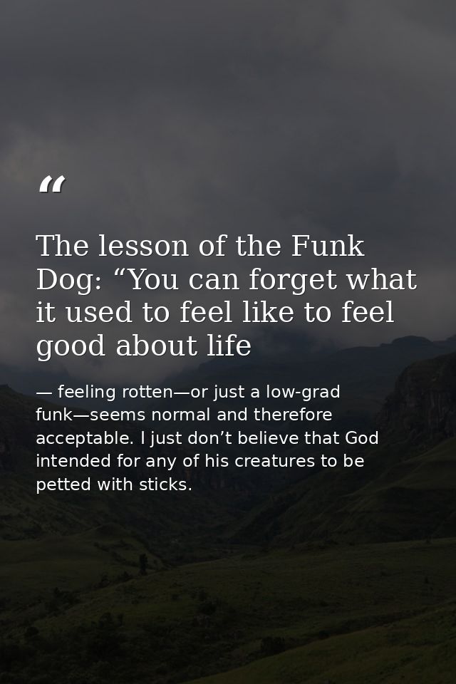 The lesson of the Funk Dog: “You can forget what it used to feel like to feel good about life — feeling rotten—or just a low-grad funk—seems normal and therefore acceptable. I just don’t believe that God intended for any of his creatures to be petted with sticks.