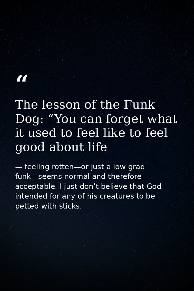 The lesson of the Funk Dog: “You can forget what it used to feel like to feel good about life — feeling rotten—or just a low-grad funk—seems normal and therefore acceptable. I just don’t believe that God intended for any of his creatures to be petted with sticks.