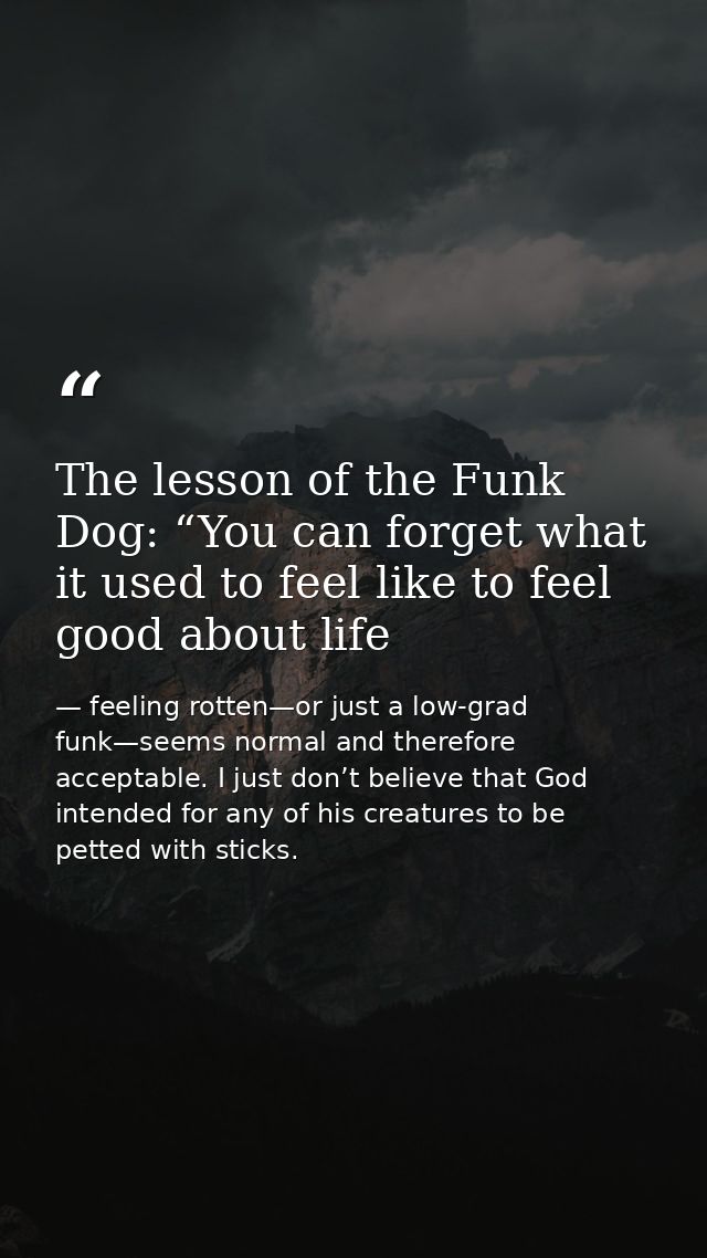 The lesson of the Funk Dog: “You can forget what it used to feel like to feel good about life — feeling rotten—or just a low-grad funk—seems normal and therefore acceptable. I just don’t believe that God intended for any of his creatures to be petted with sticks.