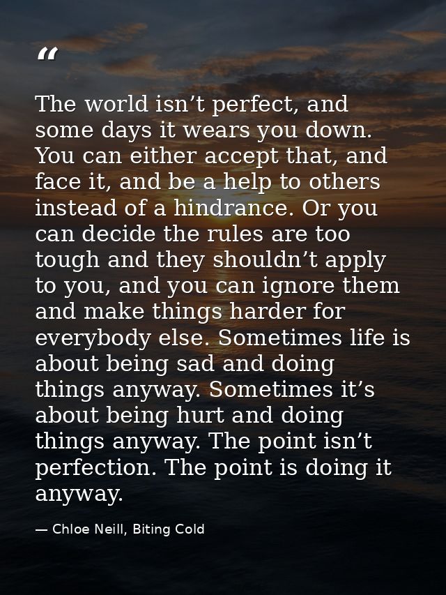 The world isn’t perfect, and some days it wears you down. You can either accept that, and face it, and be a help to othe — Chloe Neill, Biting Cold