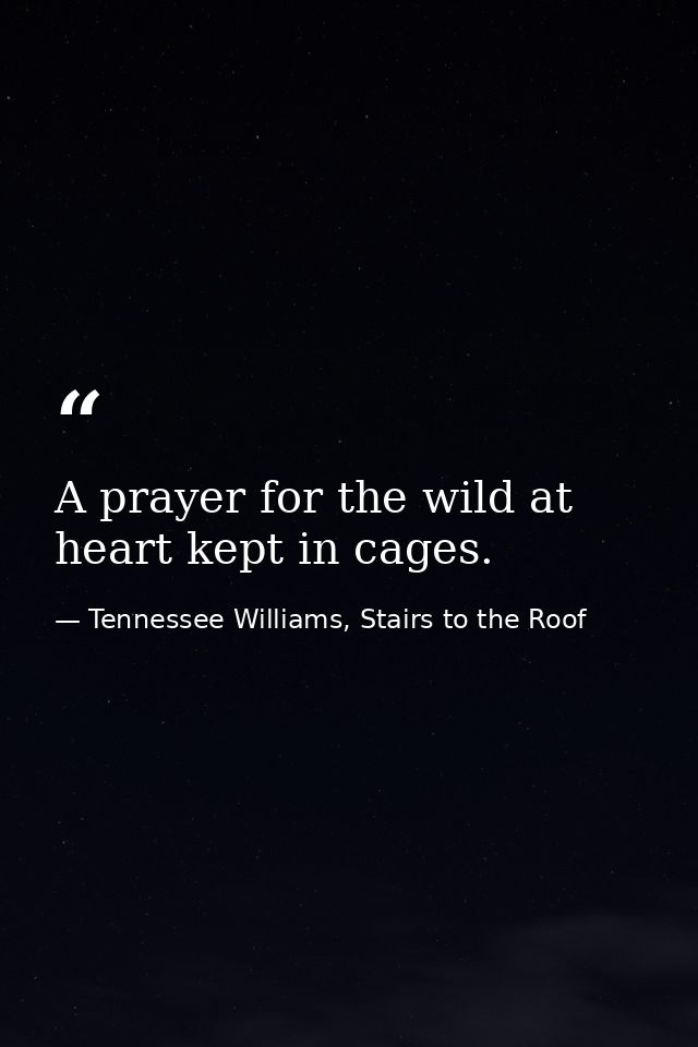 A prayer for the wild at heart kept in cages. — Tennessee Williams, Stairs to the Roof
