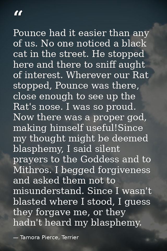 Pounce had it easier than any of us. No one noticed a black cat in the street. He stopped here and there to sniff aught  — Tamora Pierce, Terrier