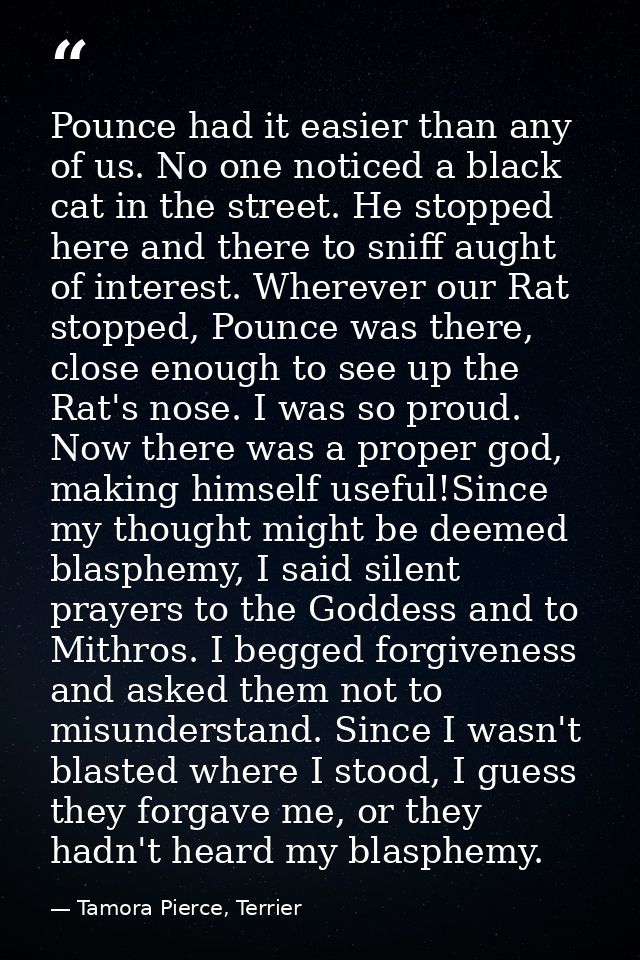 Pounce had it easier than any of us. No one noticed a black cat in the street. He stopped here and there to sniff aught  — Tamora Pierce, Terrier