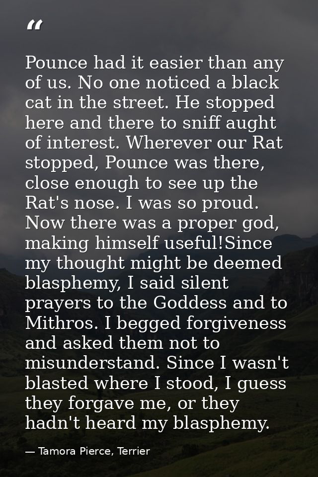 Pounce had it easier than any of us. No one noticed a black cat in the street. He stopped here and there to sniff aught  — Tamora Pierce, Terrier