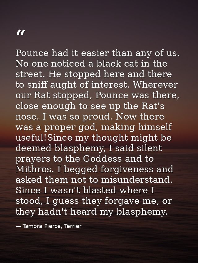 Pounce had it easier than any of us. No one noticed a black cat in the street. He stopped here and there to sniff aught  — Tamora Pierce, Terrier