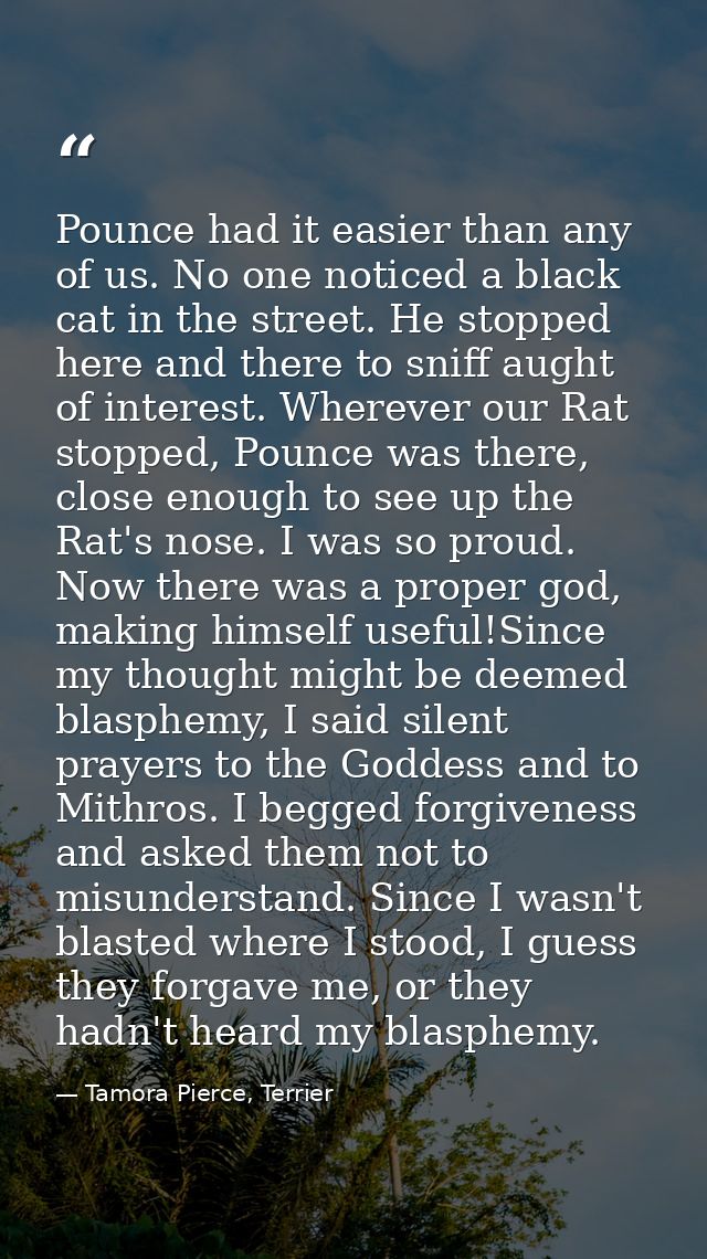 Pounce had it easier than any of us. No one noticed a black cat in the street. He stopped here and there to sniff aught  — Tamora Pierce, Terrier