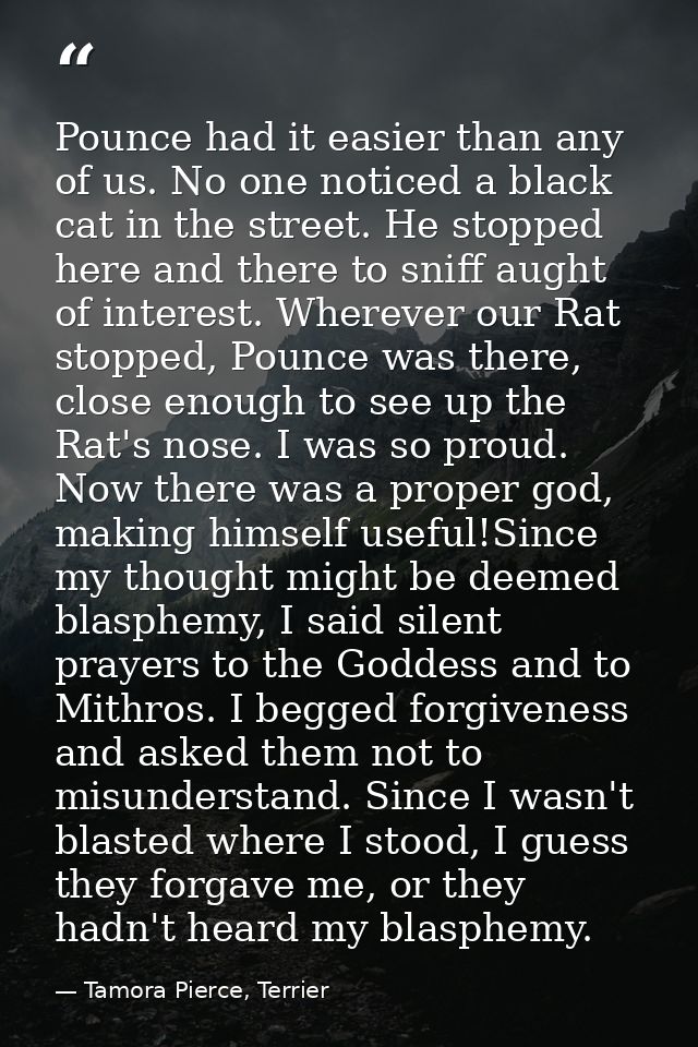 Pounce had it easier than any of us. No one noticed a black cat in the street. He stopped here and there to sniff aught  — Tamora Pierce, Terrier
