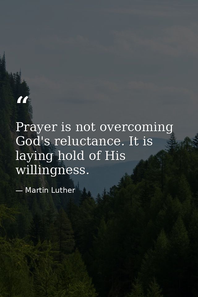Prayer is not overcoming God's reluctance. It is laying hold of His willingness. — Martin Luther