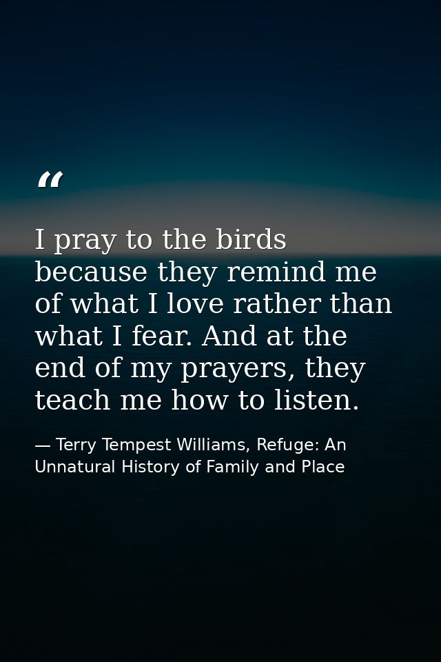 I pray to the birds because they remind me of what I love rather than what I fear. And at the end of my prayers, they te — Terry Tempest Williams, Refuge: An Unnatural History of Family and Place