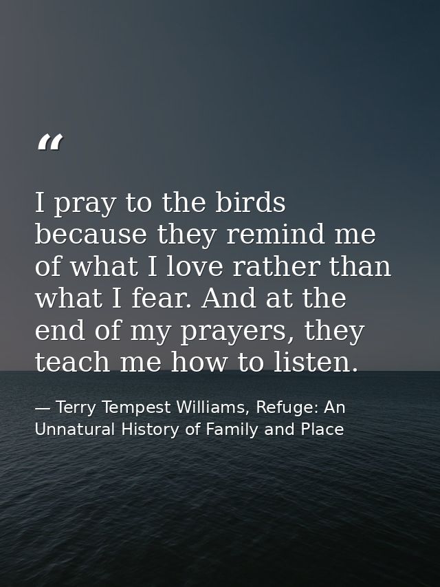 I pray to the birds because they remind me of what I love rather than what I fear. And at the end of my prayers, they te — Terry Tempest Williams, Refuge: An Unnatural History of Family and Place