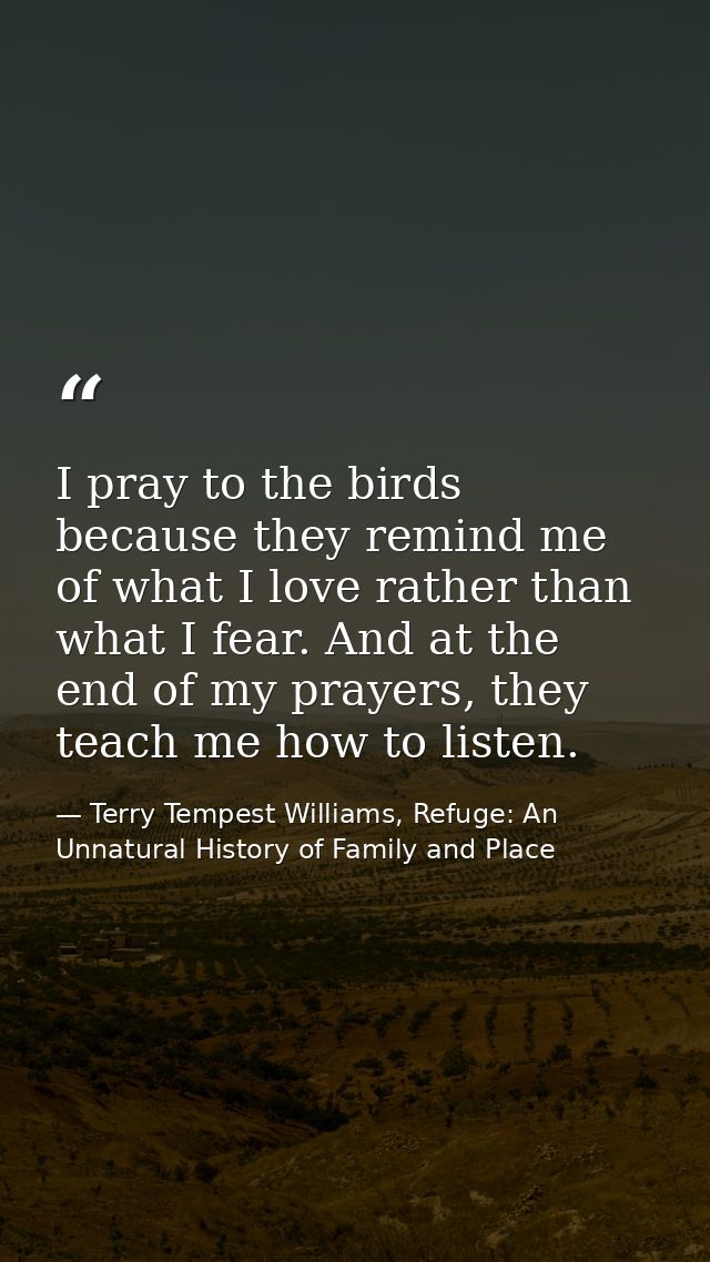 I pray to the birds because they remind me of what I love rather than what I fear. And at the end of my prayers, they te — Terry Tempest Williams, Refuge: An Unnatural History of Family and Place