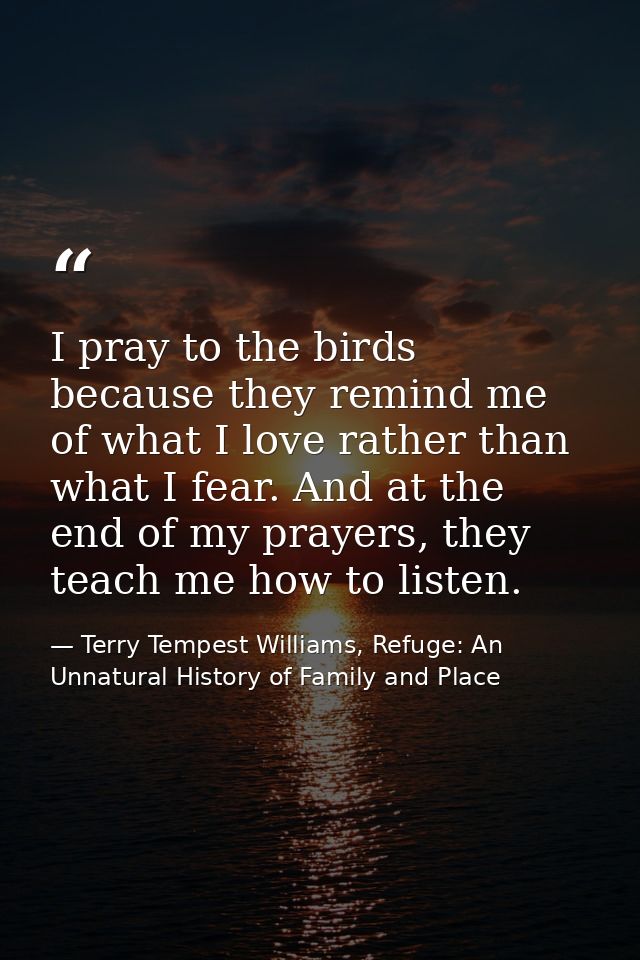 I pray to the birds because they remind me of what I love rather than what I fear. And at the end of my prayers, they te — Terry Tempest Williams, Refuge: An Unnatural History of Family and Place