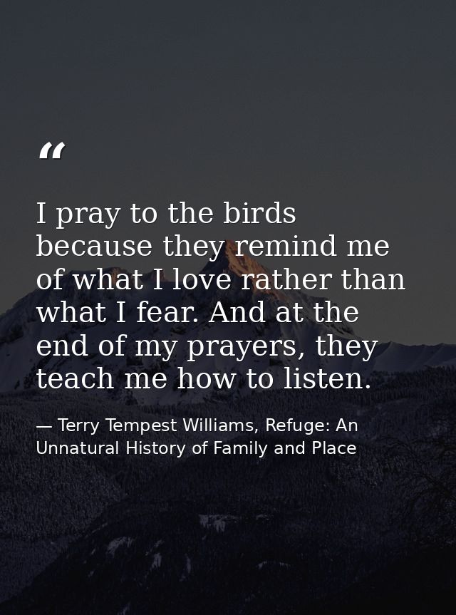 I pray to the birds because they remind me of what I love rather than what I fear. And at the end of my prayers, they te — Terry Tempest Williams, Refuge: An Unnatural History of Family and Place