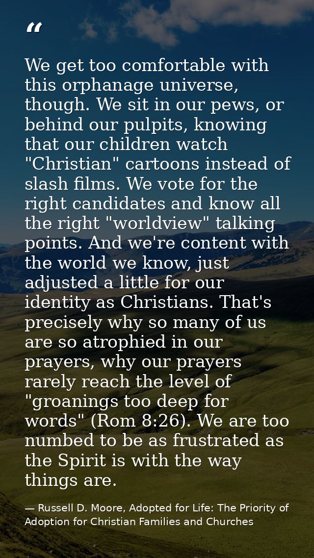 We get too comfortable with this orphanage universe, though. We sit in our pews, or behind our pulpits, knowing that our — Russell D. Moore, Adopted for Life: The Priority of Adoption for Christian Families and Churches