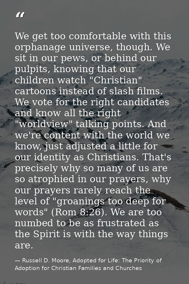 We get too comfortable with this orphanage universe, though. We sit in our pews, or behind our pulpits, knowing that our — Russell D. Moore, Adopted for Life: The Priority of Adoption for Christian Families and Churches