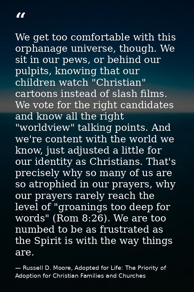 We get too comfortable with this orphanage universe, though. We sit in our pews, or behind our pulpits, knowing that our — Russell D. Moore, Adopted for Life: The Priority of Adoption for Christian Families and Churches