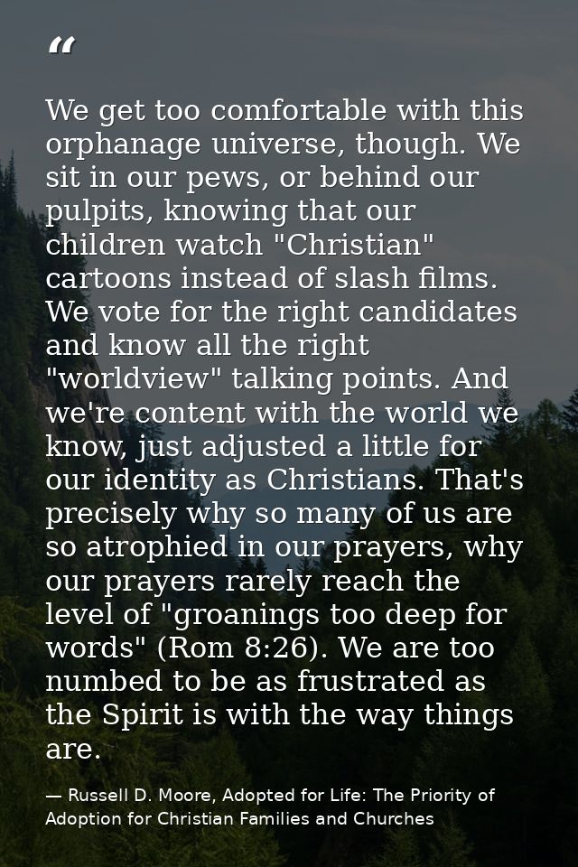 We get too comfortable with this orphanage universe, though. We sit in our pews, or behind our pulpits, knowing that our — Russell D. Moore, Adopted for Life: The Priority of Adoption for Christian Families and Churches