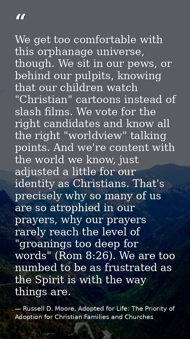 We get too comfortable with this orphanage universe, though. We sit in our pews, or behind our pulpits, knowing that our — Russell D. Moore, Adopted for Life: The Priority of Adoption for Christian Families and Churches