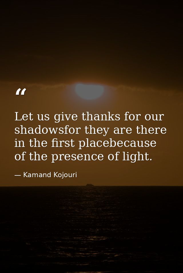 Let us give thanks for our shadowsfor they are there in the first placebecause of the presence of light. — Kamand Kojouri