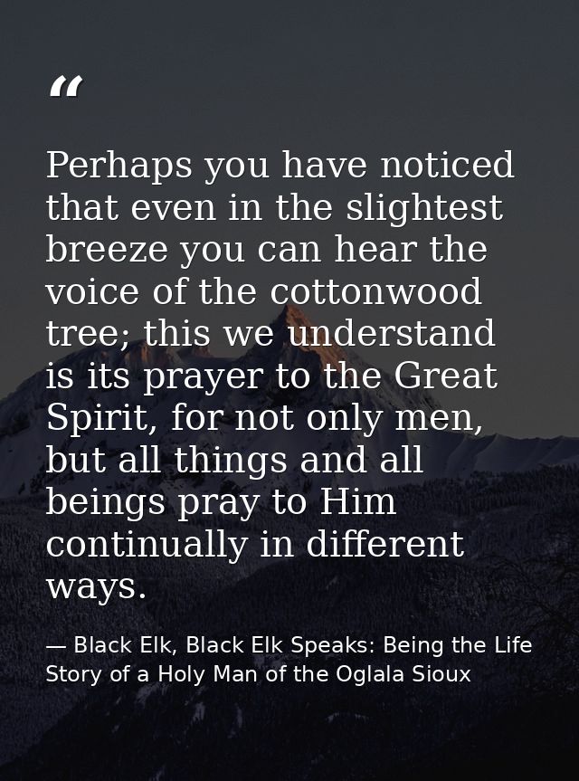 Perhaps you have noticed that even in the slightest breeze you can hear the voice of the cottonwood tree; this we unders — Black Elk, Black Elk Speaks: Being the Life Story of a Holy Man of the Oglala Sioux