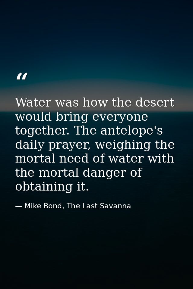 Water was how the desert would bring everyone together. The antelope's daily prayer, weighing the mortal need of water w — Mike Bond, The Last Savanna