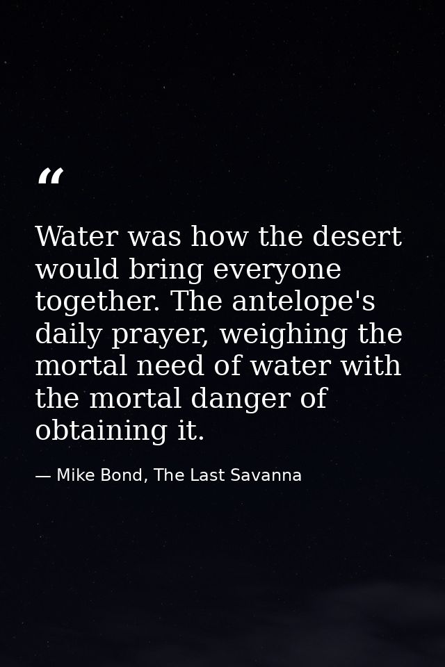 Water was how the desert would bring everyone together. The antelope's daily prayer, weighing the mortal need of water w — Mike Bond, The Last Savanna